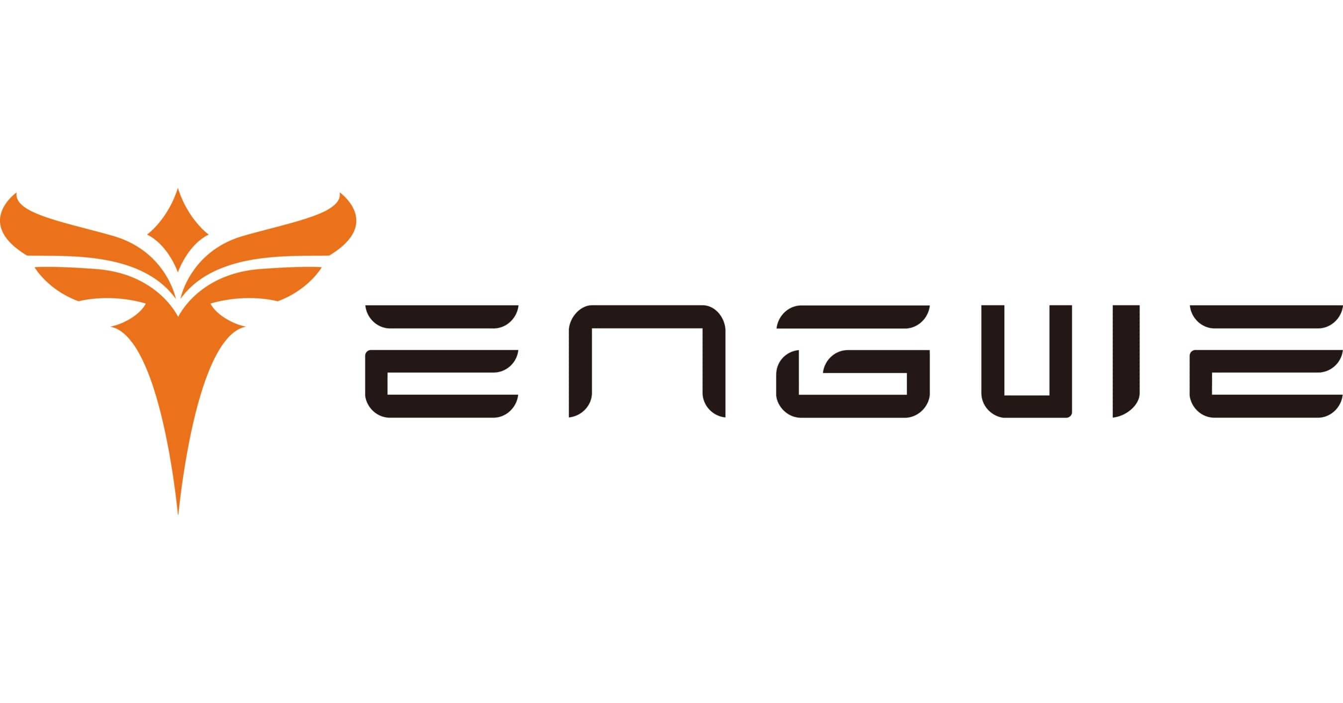 Logo di ENGWE