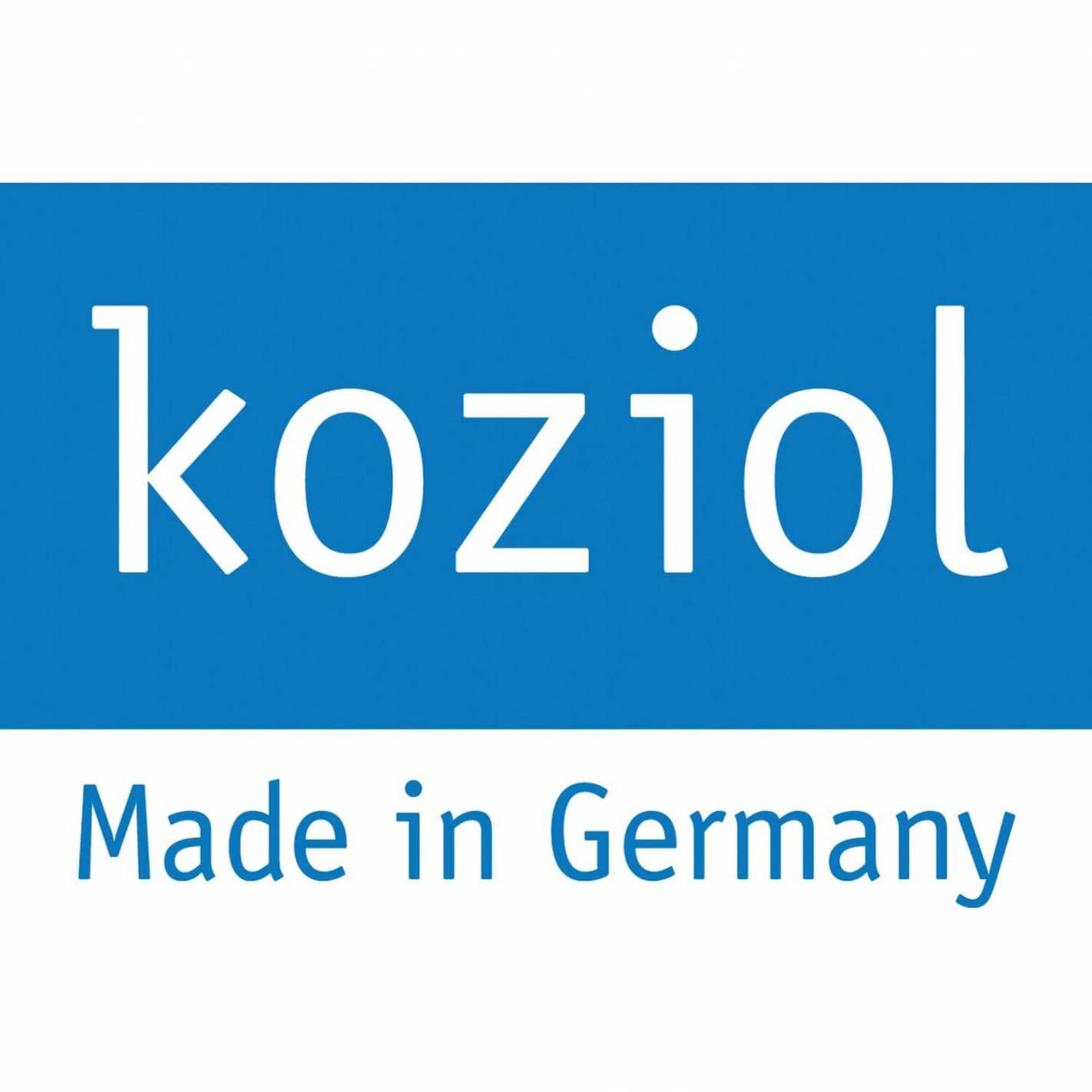 Logo di koziol