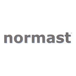 Logo di Normast