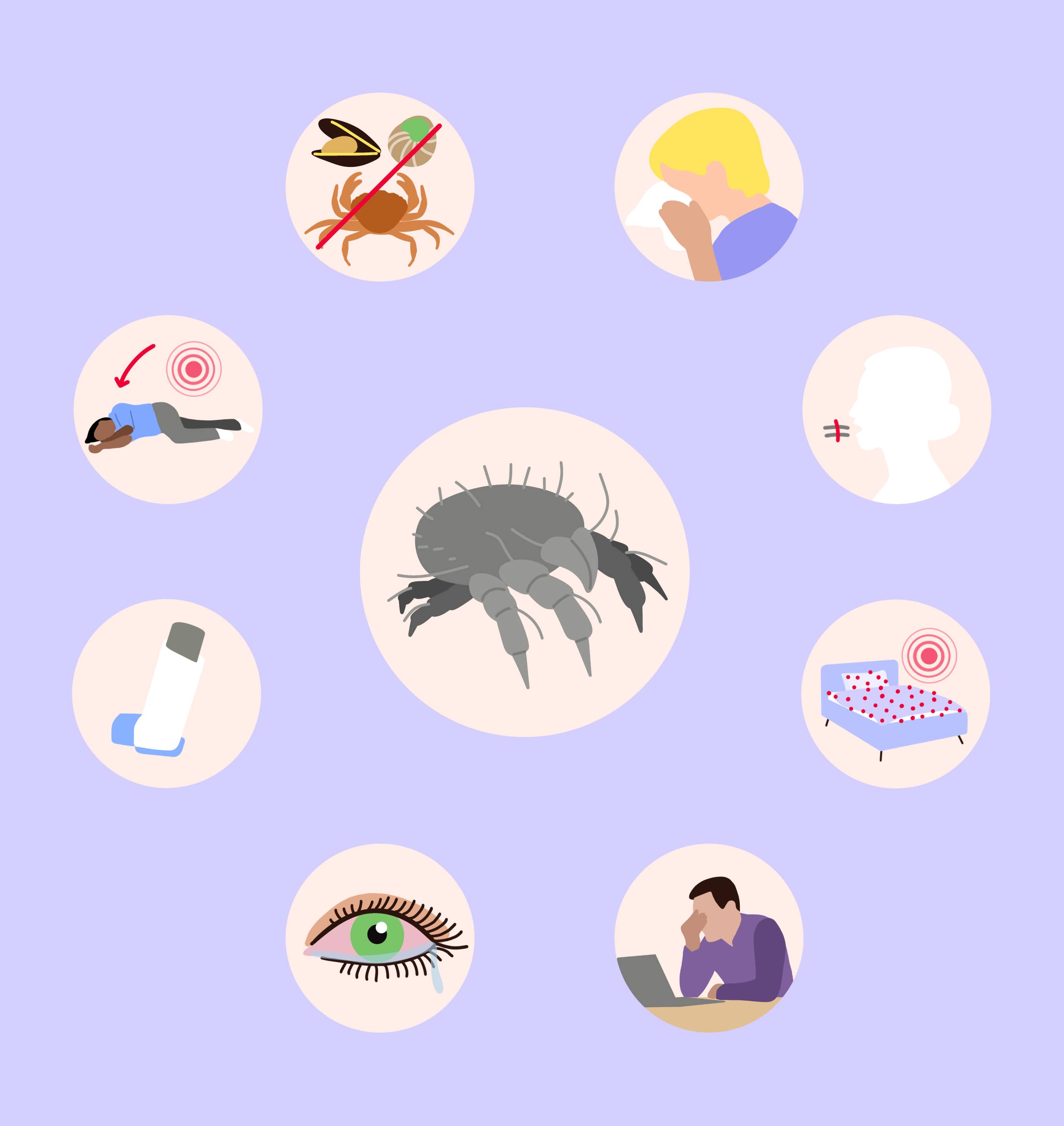 Allergia alla polvere domestica