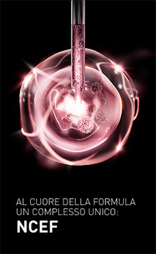 Al cuore della formula un complesso unico: NCEF